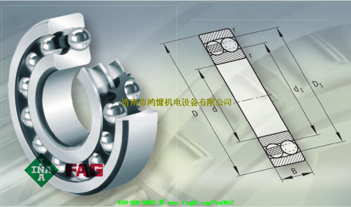 FAG 轴承